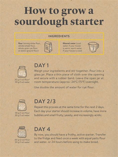Can I make sourdough starter with lactose free milk